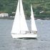Boats for Sale & Yachts Wind 44 1983 All Boats 