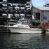 Boats for Sale & Yachts Grady White 300 1997 Fishing Boats for Sale Grady White Boats for Sale 