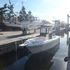 Boats for Sale & Yachts Triumph 235 CC 2008 All Boats