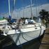 Boats for Sale & Yachts Morgan Out Island 41 1975 All Boats 