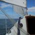 Boats for Sale & Yachts Trapper 501 fin keel 1980 All Boats 