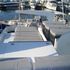 Boats for Sale & Yachts ELLIOTT Yachtfisher 1982 All Boats