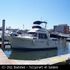 Boats for Sale & Yachts Tollycraft 40 SunDeck 1985 All Boats