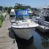 Boats for Sale & Yachts PROLINE 20 Walkaround 1987 All Boats Walkarounds Boats for Sale
