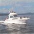 Boats for Sale & Yachts Sea Ray SRV 310 Command Bridge 1983 Sea Ray Boats for Sale 