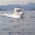 Boats for Sale & Yachts Sea Ray SRV 310 Command Bridge 1983 Sea Ray Boats for Sale