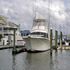 Boats for Sale & Yachts Jersey 42 Convertible Sportfisherman 1989 Sportfishing Boats for Sale