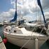 Boats for Sale & Yachts Irwin Citation 30 1979 All Boats 