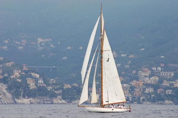 Boats for Sale & Yachts William Fife 12 Metre Class 1909 All Boats Schooner Boats for Sale