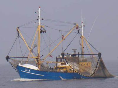 Boats for Sale & Yachts Shrimp Cutter with licences 1961 Sailboats for Sale 