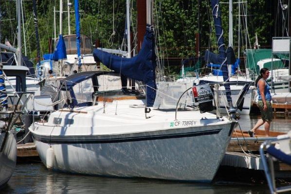 Newport Sloop 1972 Boats for Sale & Yachts