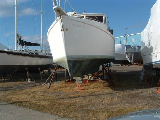 Boats for Sale & Yachts Hedi Sport 51 1991 All Boats 